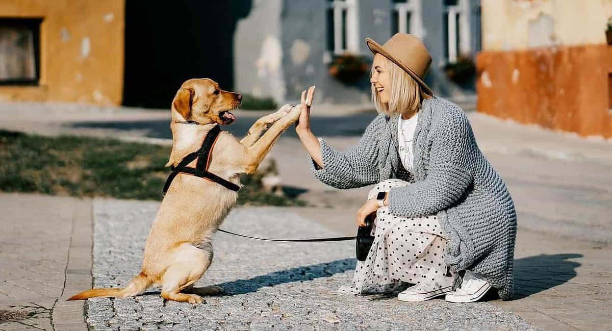A woman and her dog are giving each other high five.