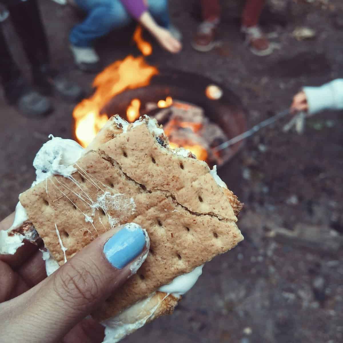 A person holding up a cracker with marshmallows on it.